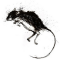 Robert Burns – To A Mouse